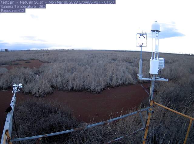 Bird on radiometer boom