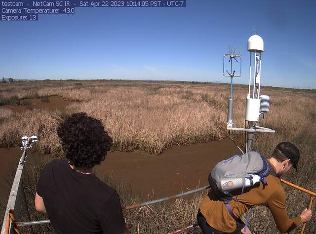 SFSU visitors on tower