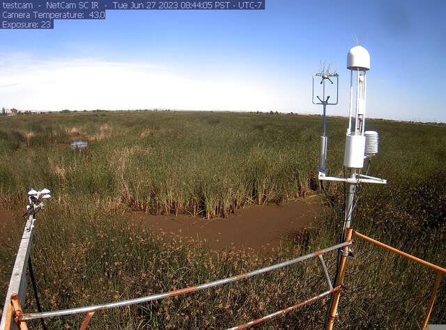 Swallows on radiometer boom