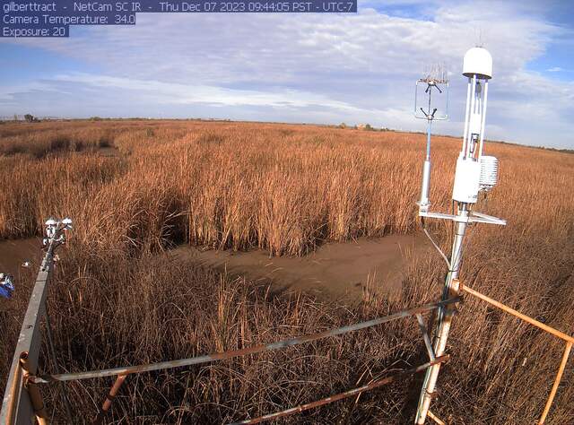 Chamber soil sample field work