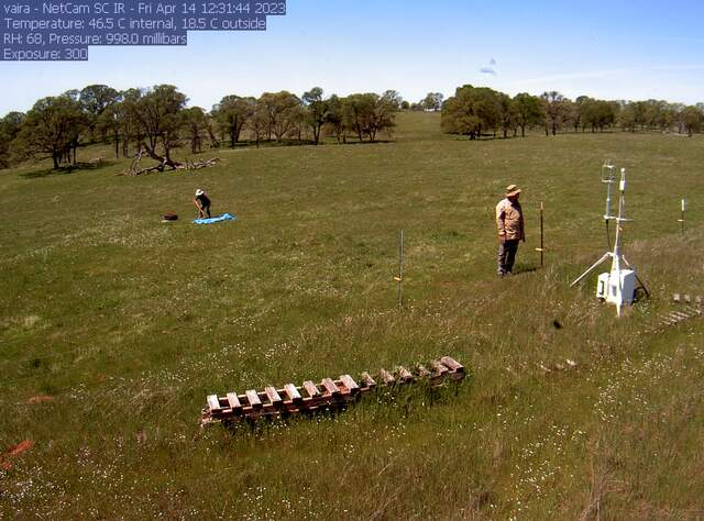 Joe and Daphne taking soil cores