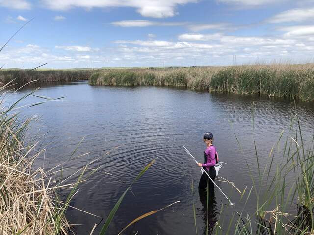 Kyle installing first set of open-water porewater sippers in the Mayberry channel