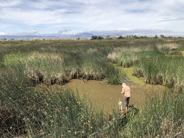 Arman measuring surface water during low tide