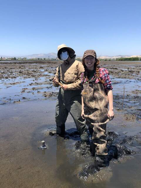 Arman and Irene sampling a core at HSM_1. Step one is to hammer the 30cm acrylic tube into the soil.