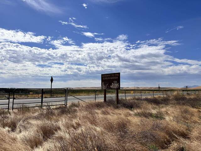 Welcome to Suisun Marsh!