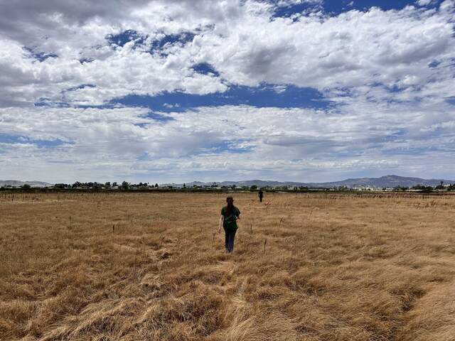 Irene and Robert walking into the upland section at the north end of Hill Slough marsh. We are trying to relocate HSM_9 to take its GPS point.