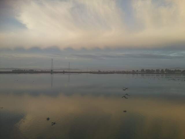 Strange scalloped clouds and birds 