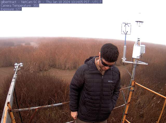 Arman on site