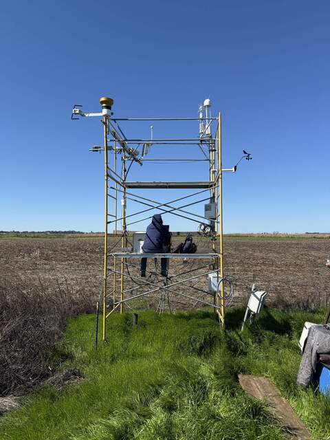 Daphne working on the tower on a windy day