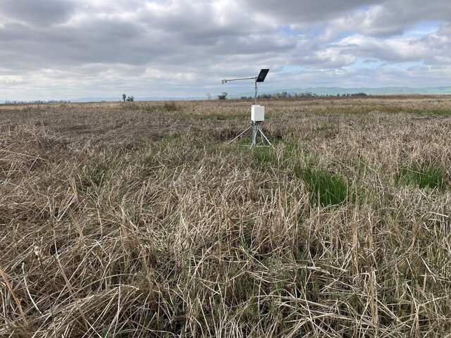 New RR annex tower in the marsh