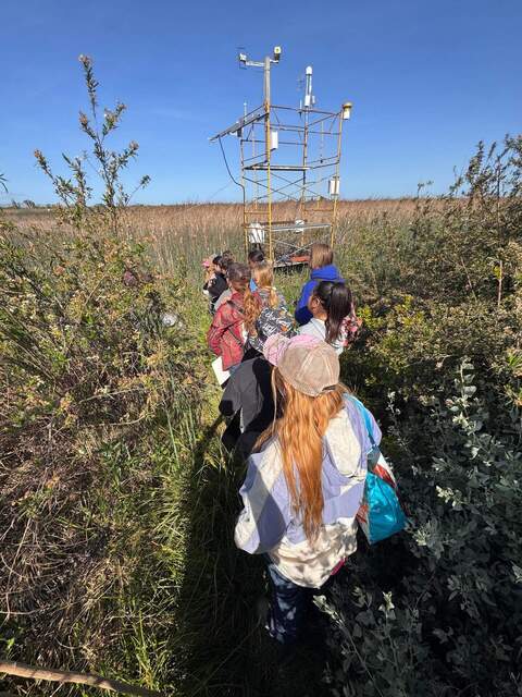 Tower and field trip goers in the wetland