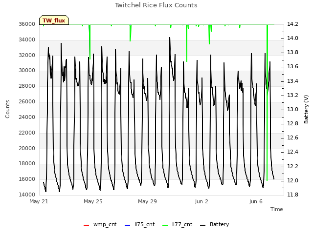 Explore the graph:Twitchel Rice Flux Counts in a new window