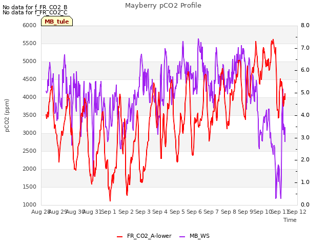 plot of Mayberry pCO2 Profile
