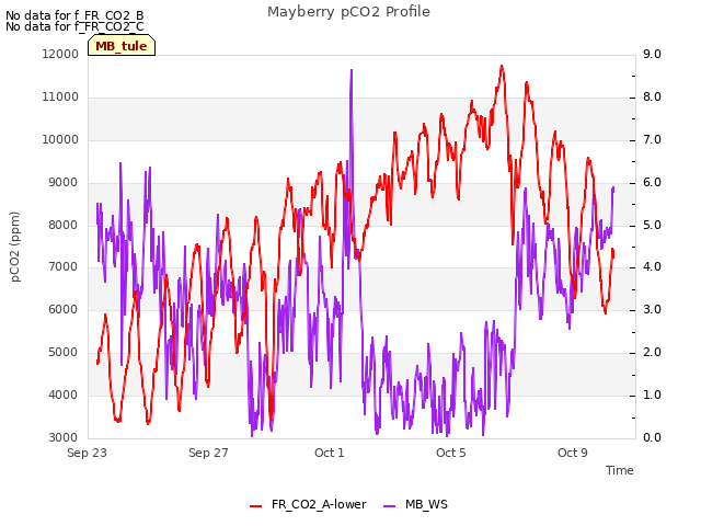 Explore the graph:Mayberry pCO2 Profile in a new window