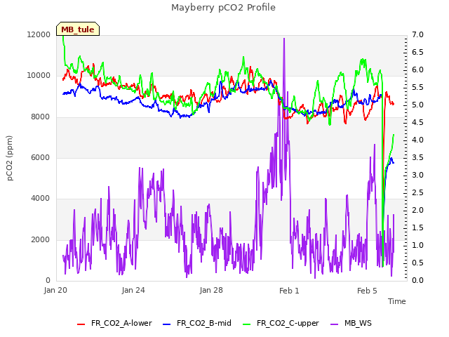 Explore the graph:Mayberry pCO2 Profile in a new window
