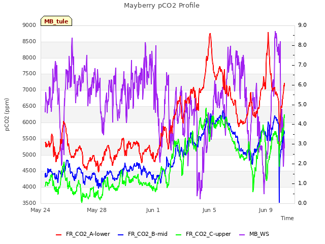 Explore the graph:Mayberry pCO2 Profile in a new window