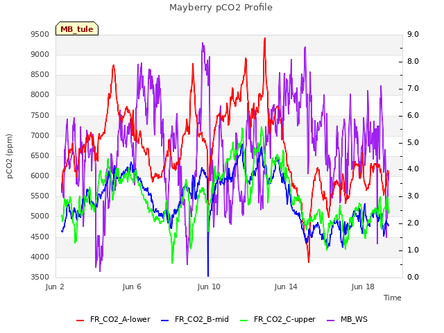 Explore the graph:Mayberry pCO2 Profile in a new window