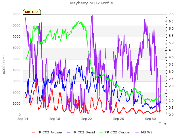Explore the graph:Mayberry pCO2 Profile in a new window