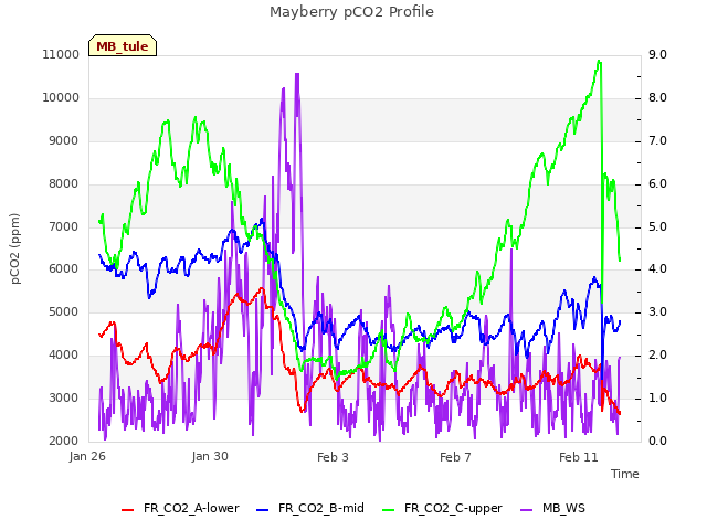Explore the graph:Mayberry pCO2 Profile in a new window