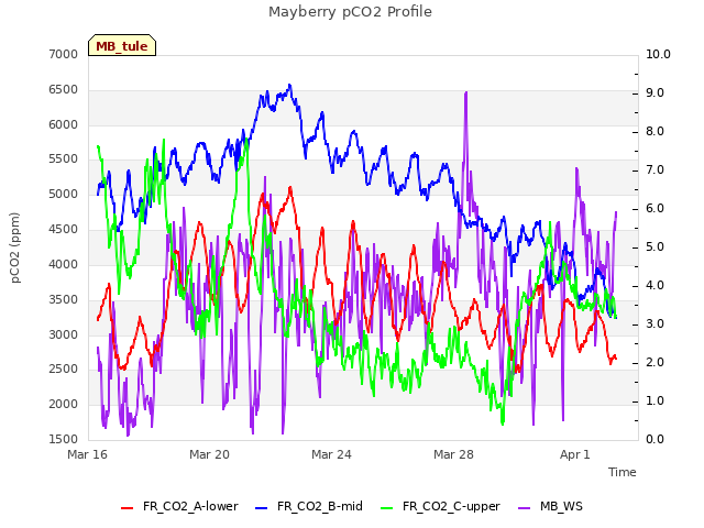 Explore the graph:Mayberry pCO2 Profile in a new window