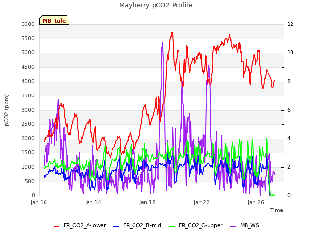 Explore the graph:Mayberry pCO2 Profile in a new window