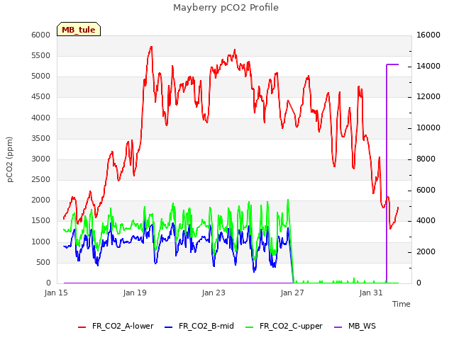 Explore the graph:Mayberry pCO2 Profile in a new window
