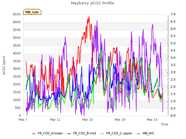 Explore the graph:Mayberry pCO2 Profile in a new window