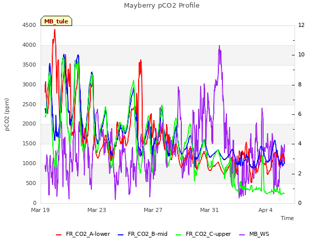 Explore the graph:Mayberry pCO2 Profile in a new window