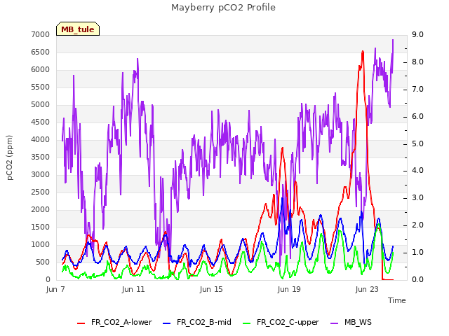 Explore the graph:Mayberry pCO2 Profile in a new window