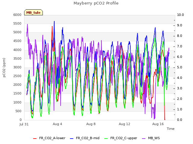 Explore the graph:Mayberry pCO2 Profile in a new window