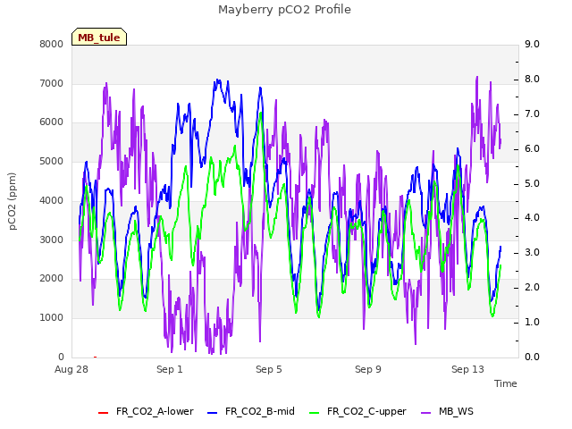 Explore the graph:Mayberry pCO2 Profile in a new window