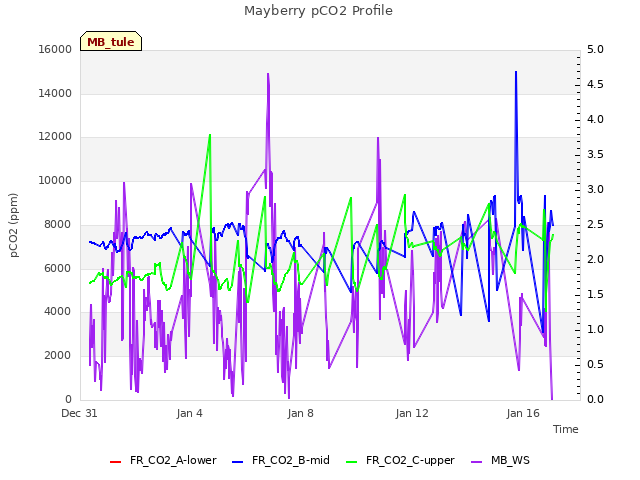 Explore the graph:Mayberry pCO2 Profile in a new window