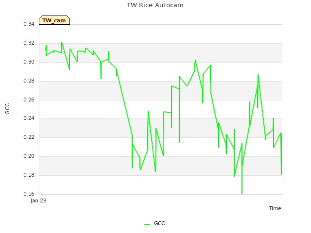 Explore the graph:TW Rice Autocam in a new window