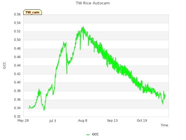 Explore the graph:TW Rice Autocam in a new window