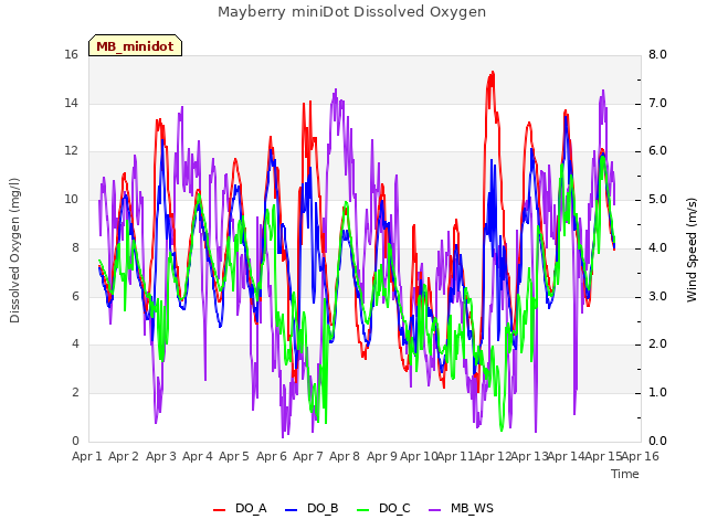 plot of Mayberry miniDot Dissolved Oxygen