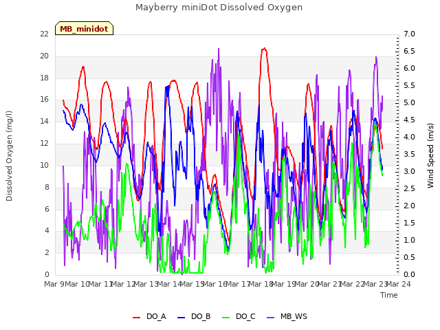 plot of Mayberry miniDot Dissolved Oxygen