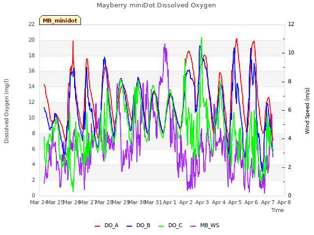 plot of Mayberry miniDot Dissolved Oxygen