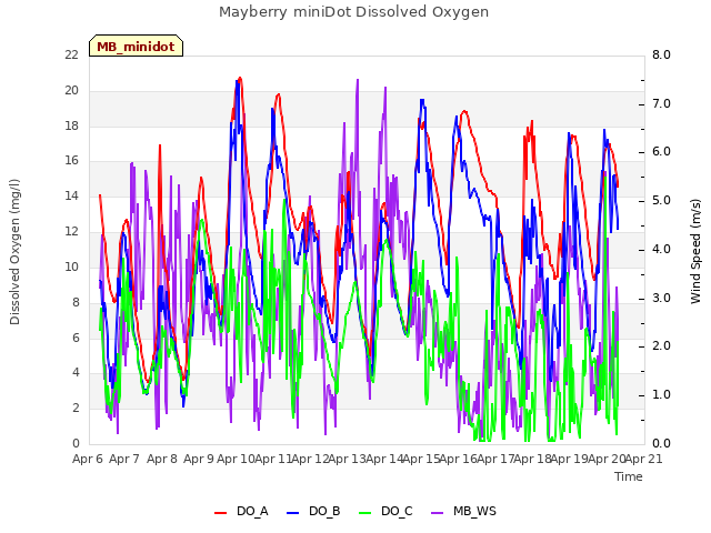 plot of Mayberry miniDot Dissolved Oxygen