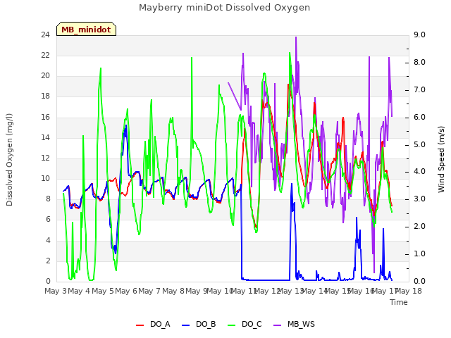 plot of Mayberry miniDot Dissolved Oxygen