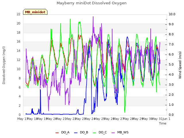 plot of Mayberry miniDot Dissolved Oxygen