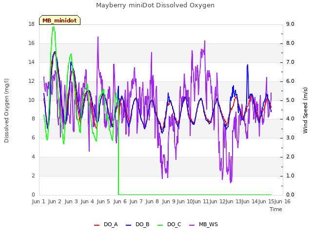 plot of Mayberry miniDot Dissolved Oxygen