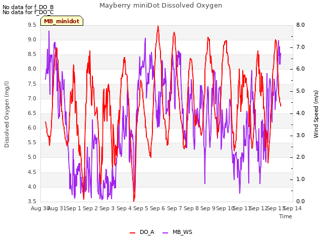 plot of Mayberry miniDot Dissolved Oxygen