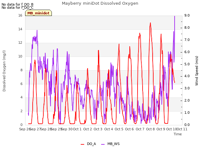 plot of Mayberry miniDot Dissolved Oxygen
