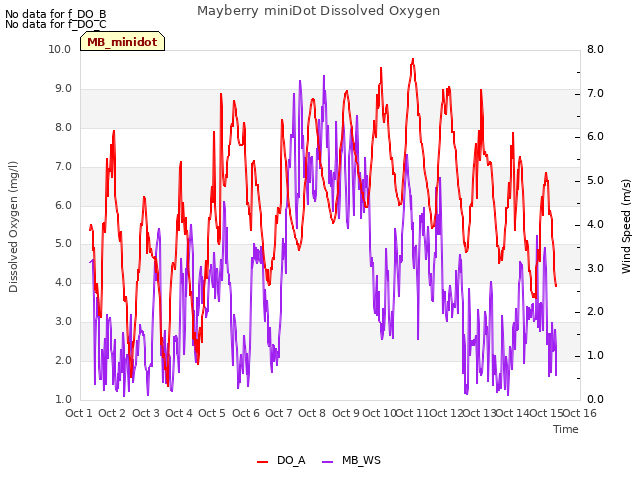 plot of Mayberry miniDot Dissolved Oxygen