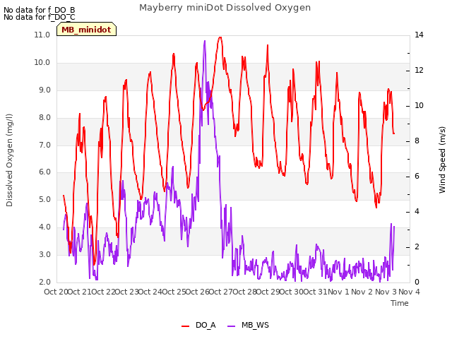 plot of Mayberry miniDot Dissolved Oxygen