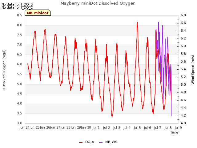 plot of Mayberry miniDot Dissolved Oxygen