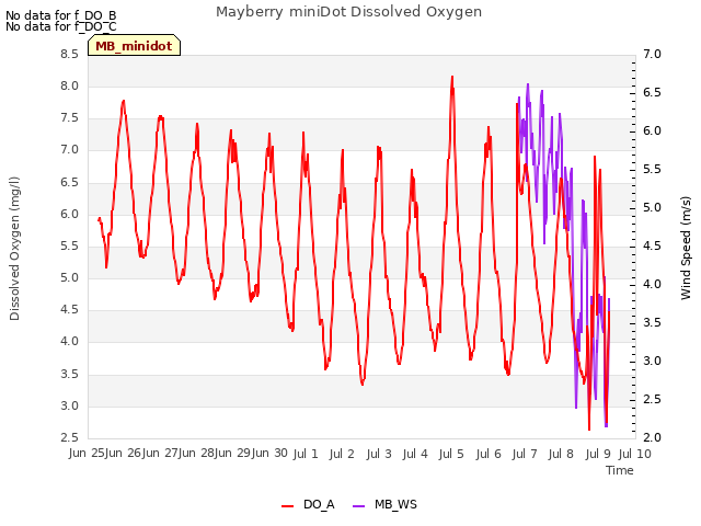 plot of Mayberry miniDot Dissolved Oxygen