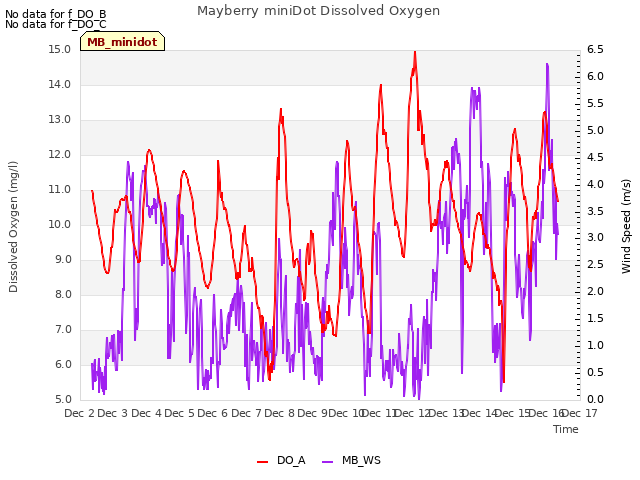plot of Mayberry miniDot Dissolved Oxygen