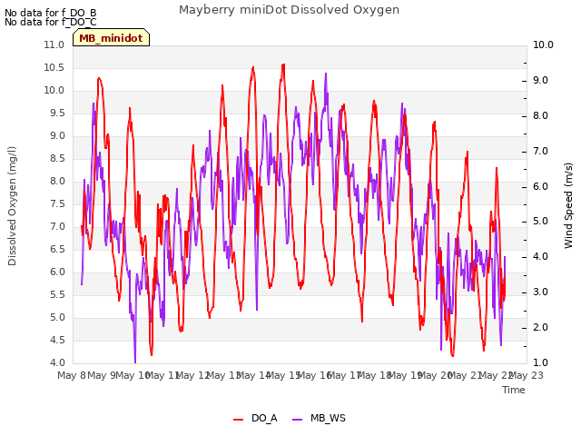 plot of Mayberry miniDot Dissolved Oxygen