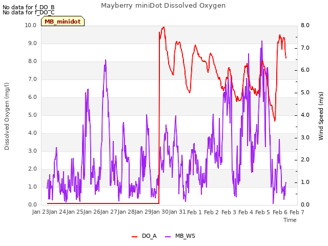 plot of Mayberry miniDot Dissolved Oxygen